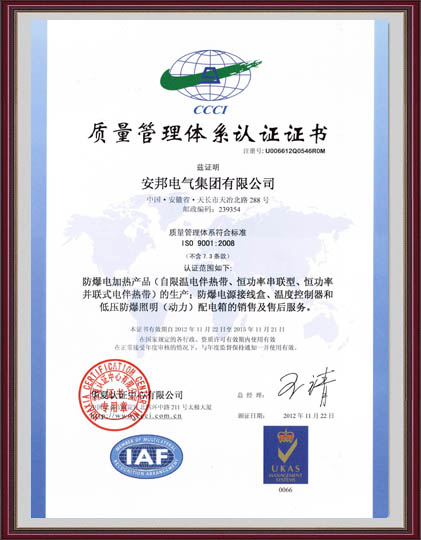 ISO9001質(zhì)量體系認證中文版